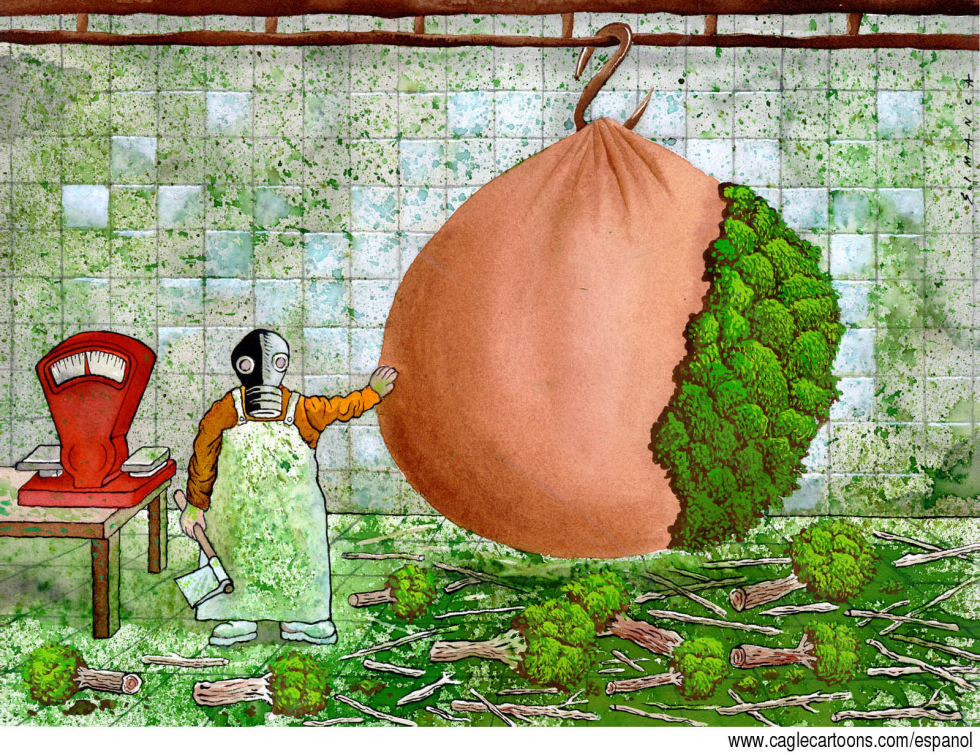 Deforestation meets industrial scale; worker slices planet peach revealing lost forest.