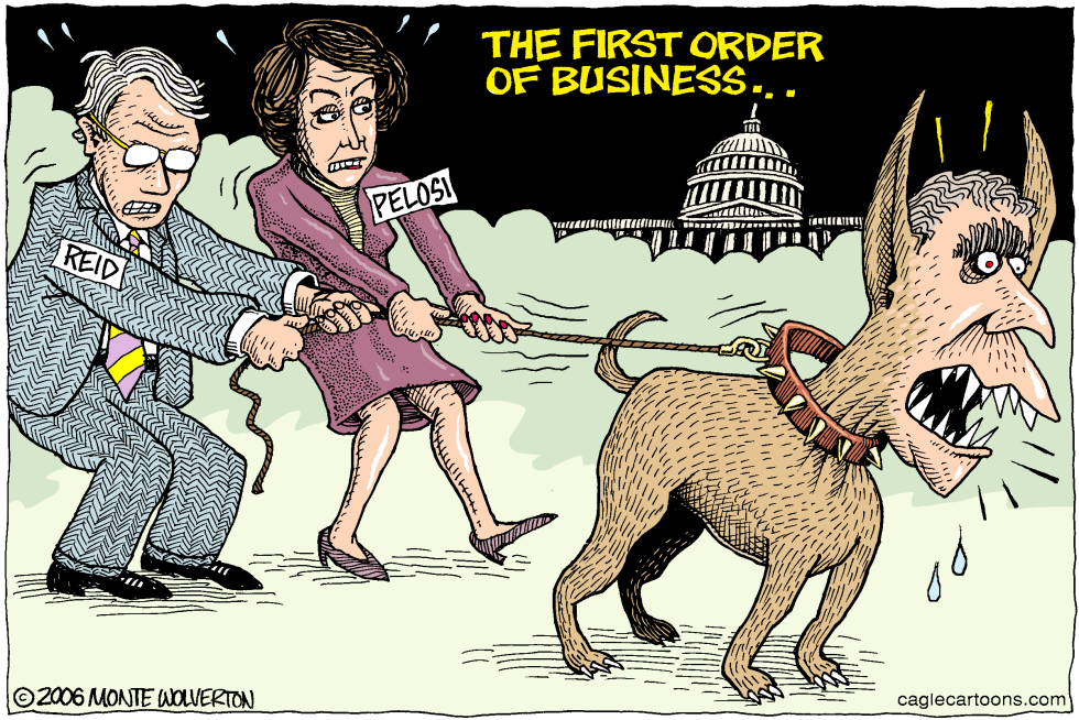 Reining in the President COLOR
