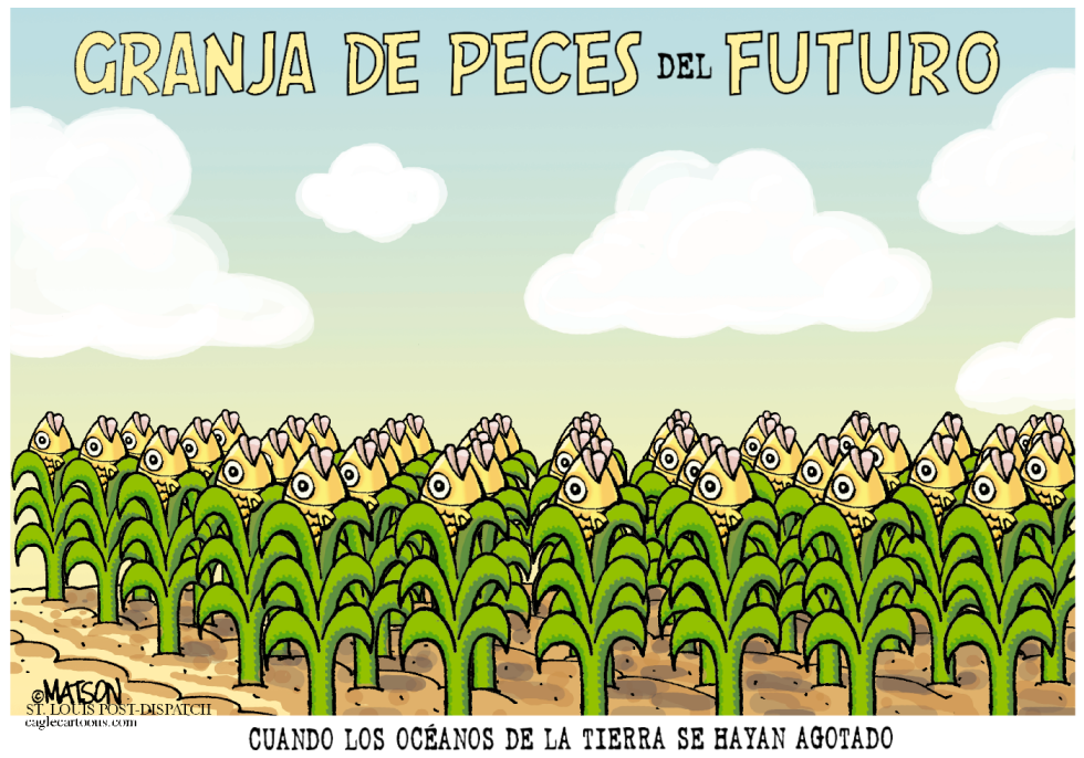 Granja de Peces del Futuro / COLOR