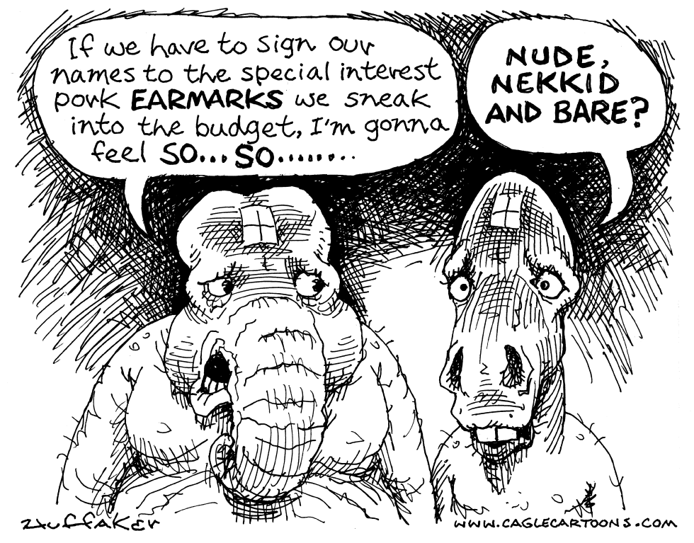 Budget Earmarks