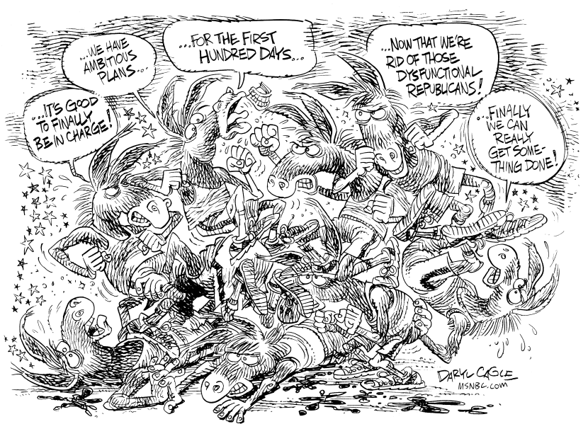 Democrats Fight