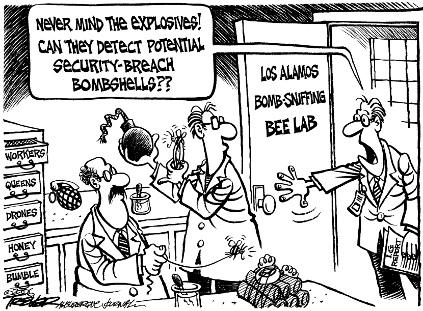 Bomb-detecting Bees