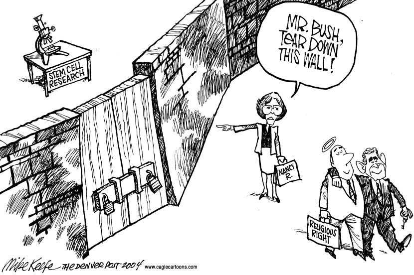 Nancy and Stem Cells