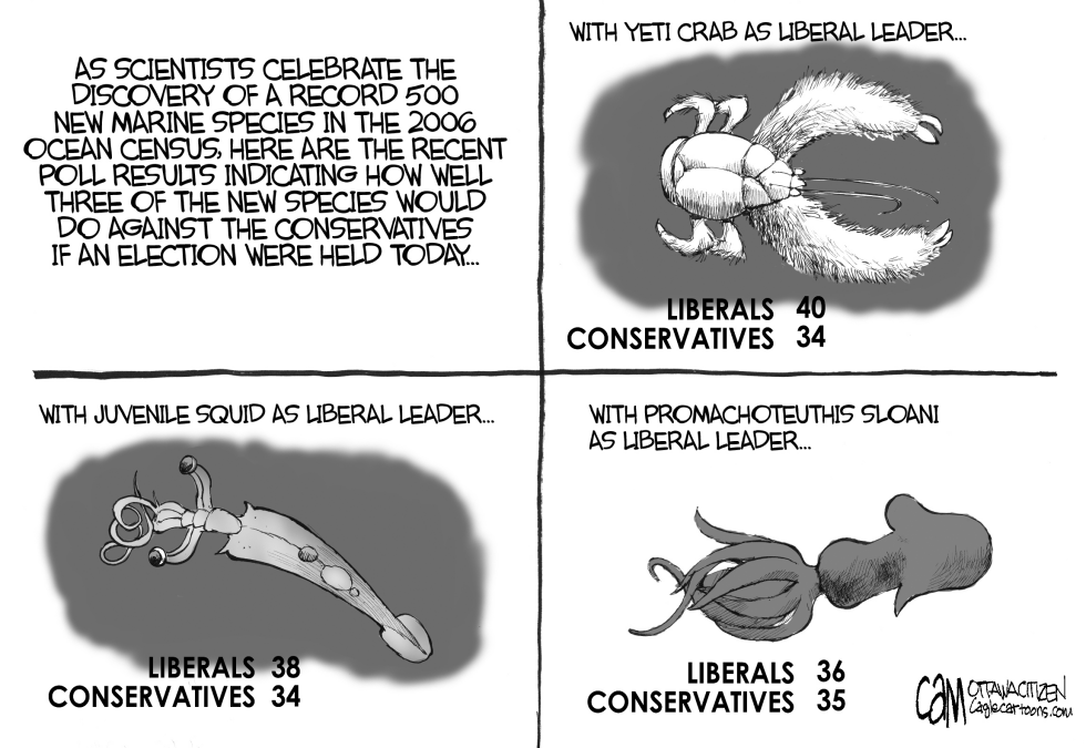 CANADA Liberal Squid