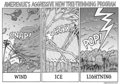 LOCAL MO-AMEREN'S NEW TREE-TRIMMING PROGRAM by R.J. Matson