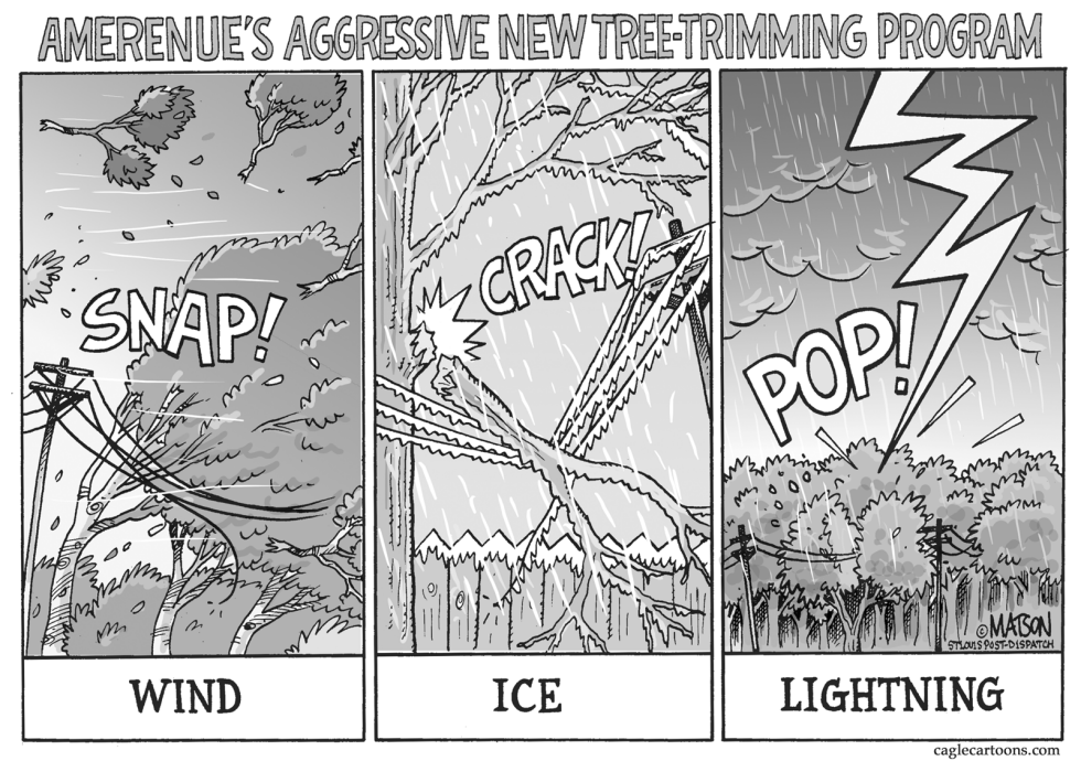  LOCAL MO-AMEREN'S NEW TREE-TRIMMING PROGRAM by RJ Matson