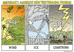 LOCAL MO-AMEREN'S NEW TREE-TRIMMING PROGRAM by R.J. Matson