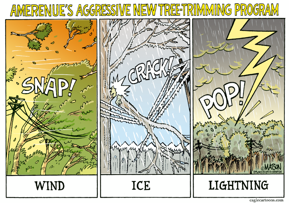 Local MO-Ameren's New Tree-Trimming Program-COLOR