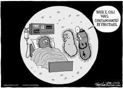 FRUITCAKE by Bob Englehart