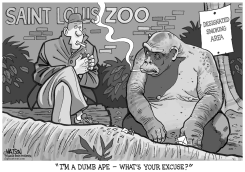 LOCAL MO-SAINT LOUIS ZOO RESTRICTS SMOKING by R.J. Matson