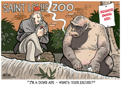 LOCAL MO-SAINT LOUIS ZOO RESTRICTS SMOKING by R.J. Matson