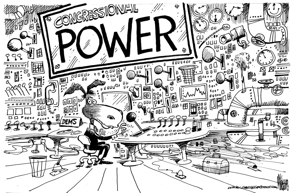  POWER TO THE DEMOCRATS by Mike Lane