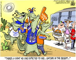 LOCAL FL DESERT REPTILES by Jeff Parker