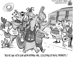 REPTILES DE FLORIDA EN EL DESIERTO by Jeff Parker