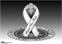 SUPPORT OUR TROOPS by R.J. Matson
