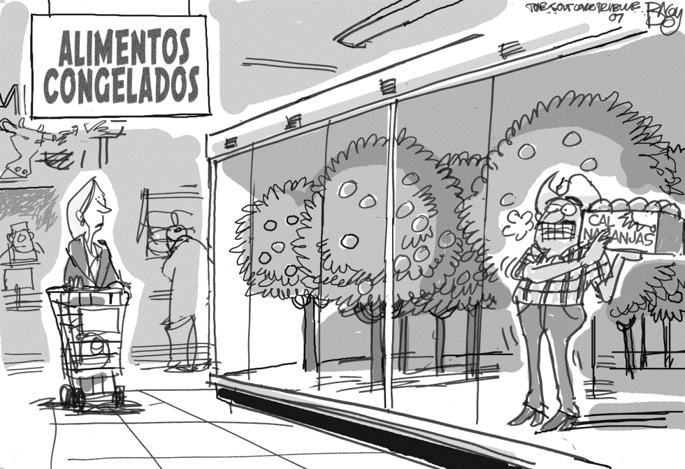 Naranjas Congeladas