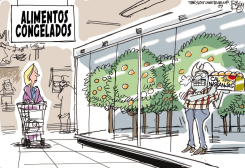 NARANJAS CONGELADAS /  by Pat Bagley