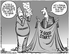 LOCAL FL BLUE TARP FIX by Jeff Parker