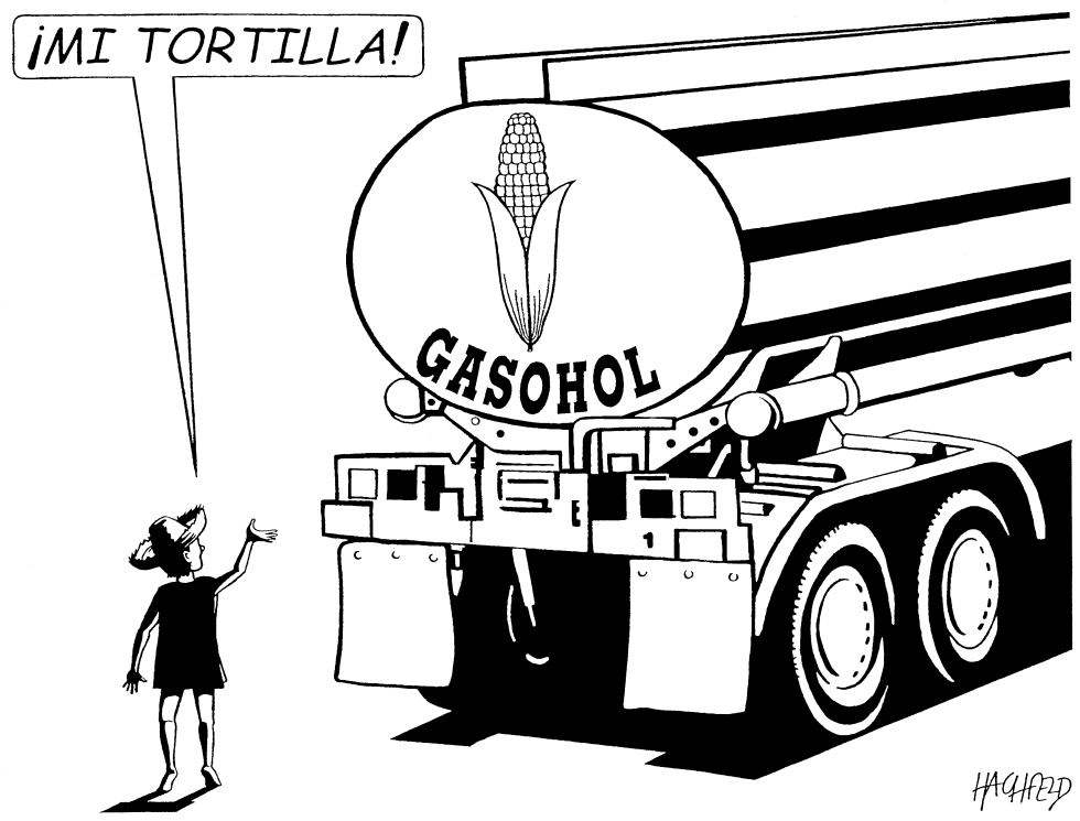 Gasohol vs Tortilla