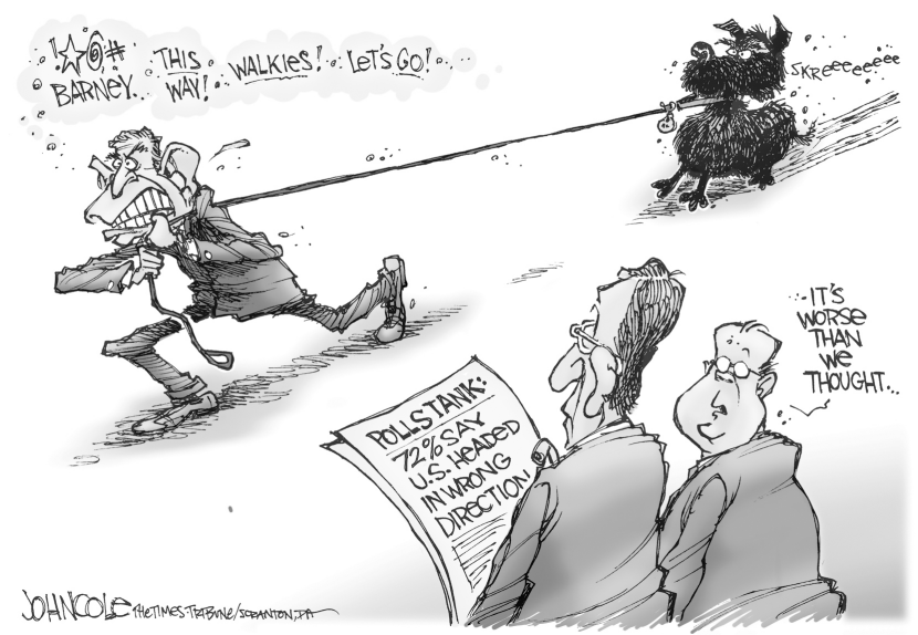 Bush and the polls