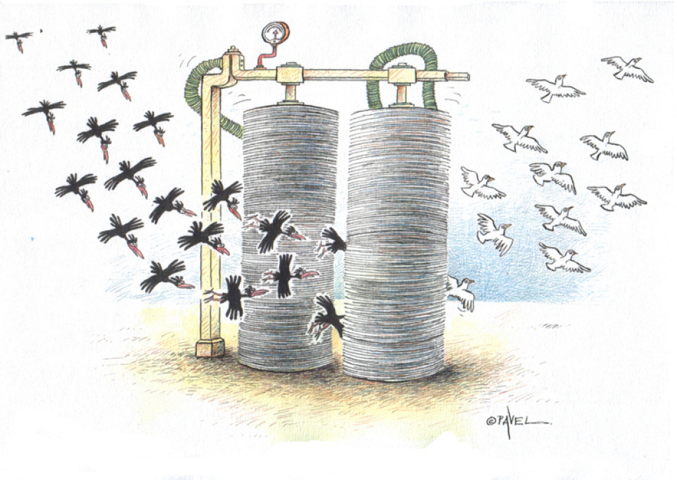 Peace Doves