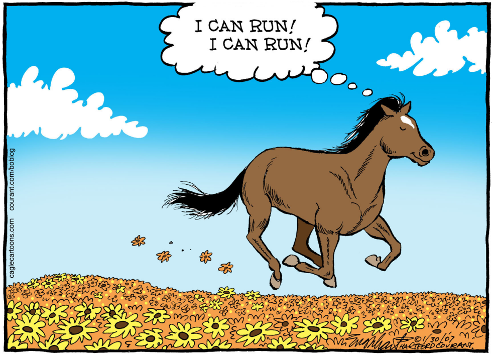 Barbaro COLOR
