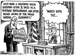 WOUNDED DUCK by John Trever