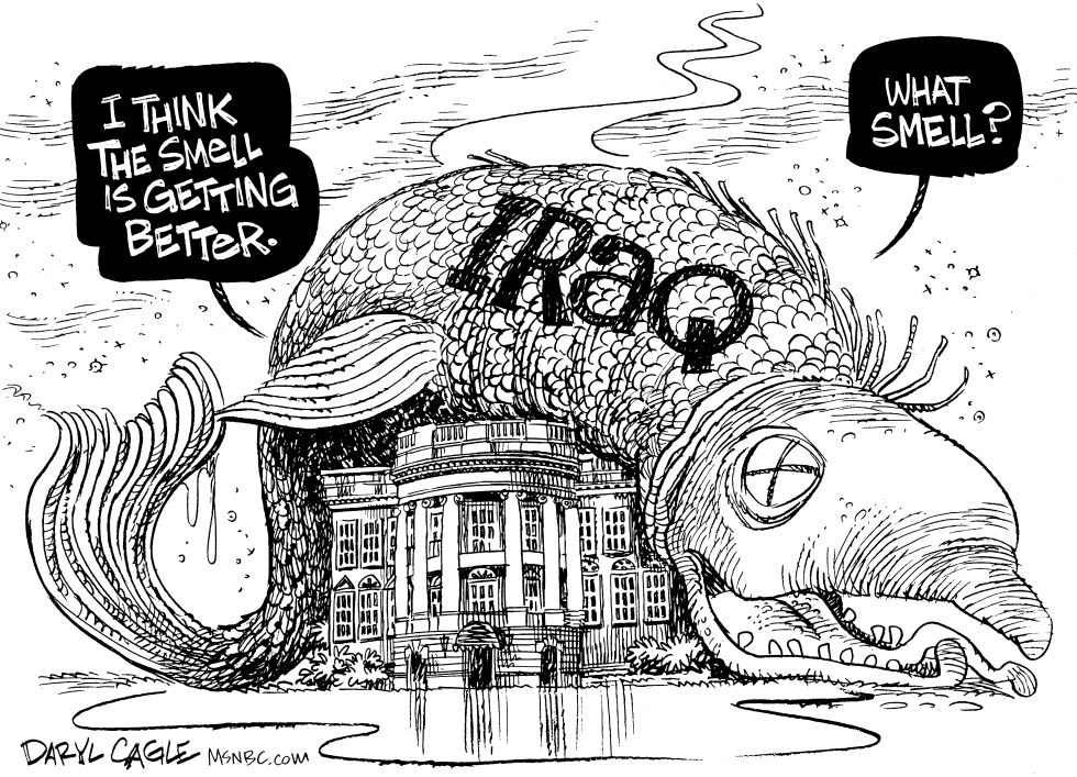 Stinky Iraq Fish