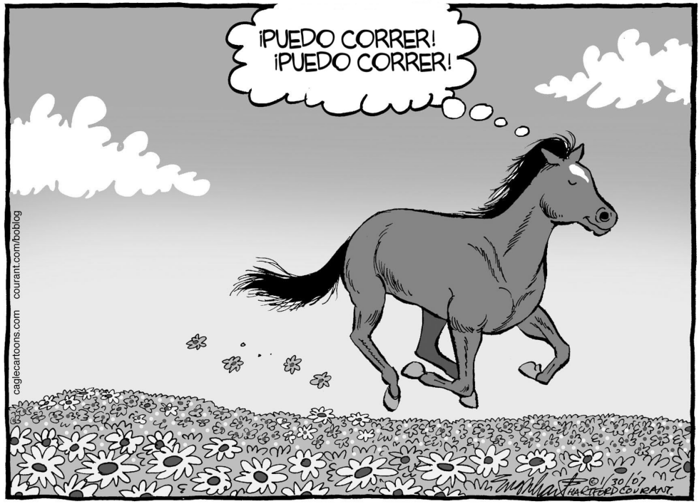 Barbaro