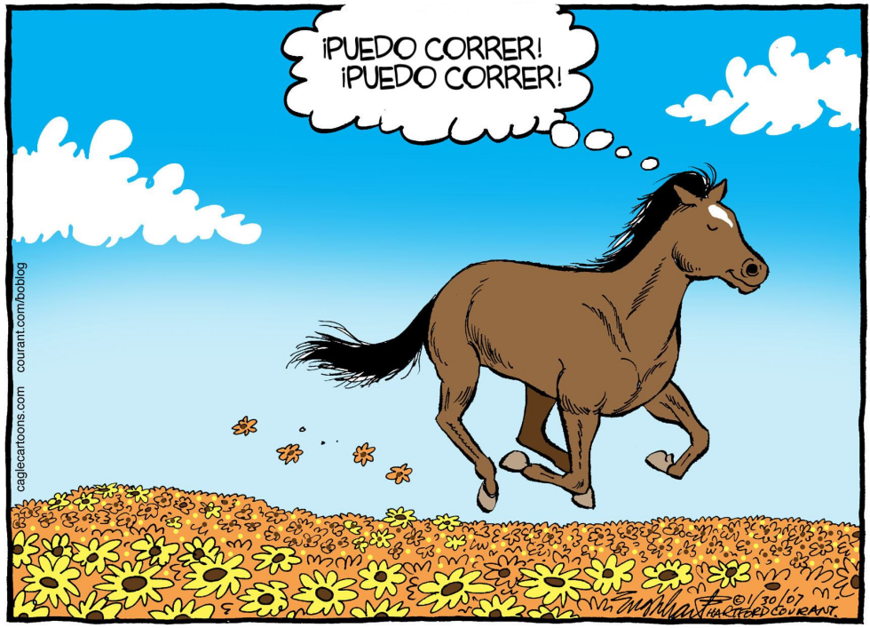 Barbaro / COLOR