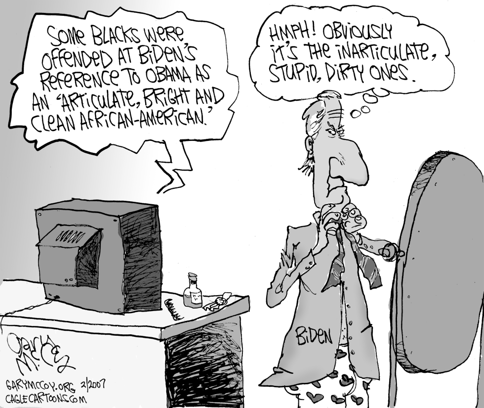 Bidens Remark