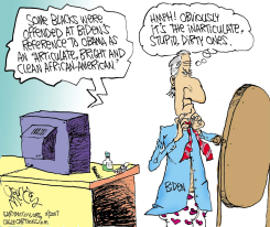 BIDENS REMARK  by Gary McCoy