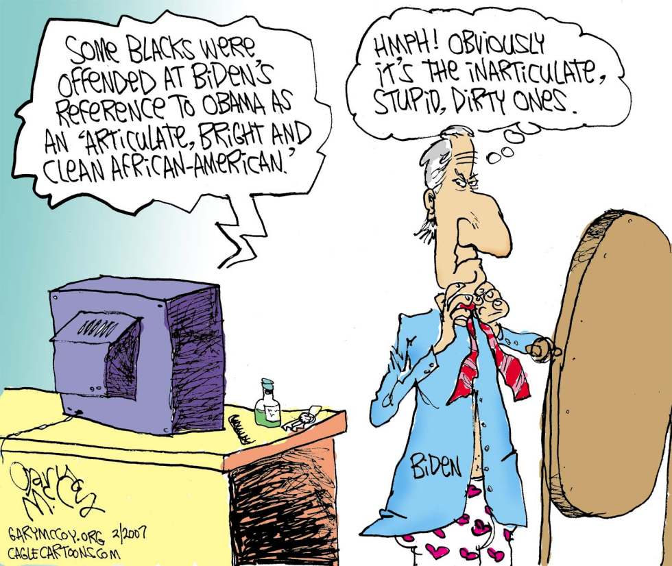 Bidens Remark COLOR