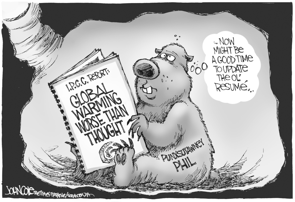  GLOBAL WARMING GROUNDHOG by John Cole