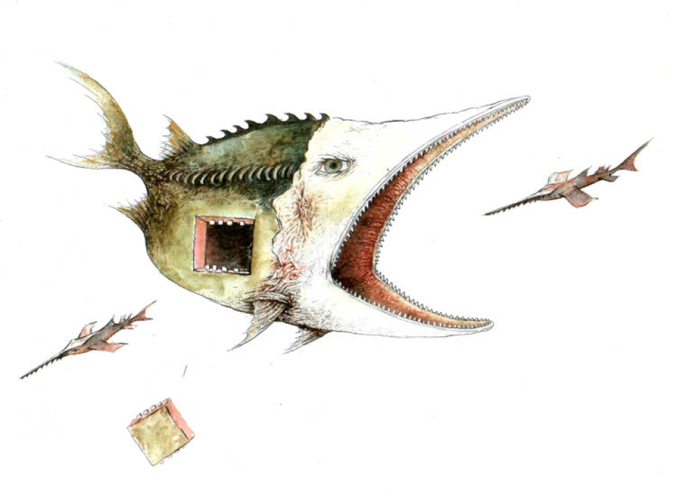 The big fish