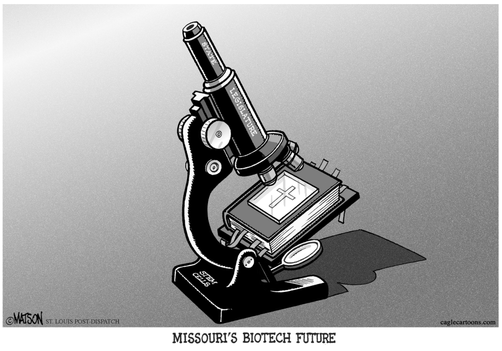 Local MO-Stem Cell Restrictions