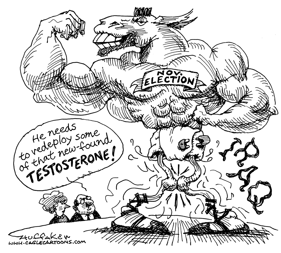 Democrat Testosterone
