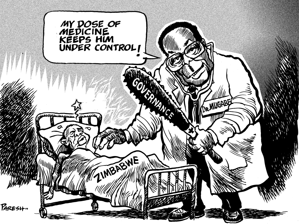  DR MUGABE CONTROLS  ZIMBABWE by Paresh Nath