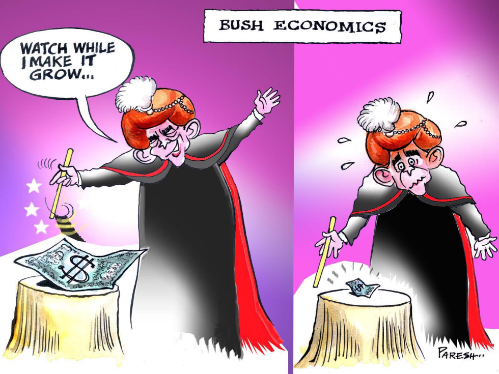 Bush Economics