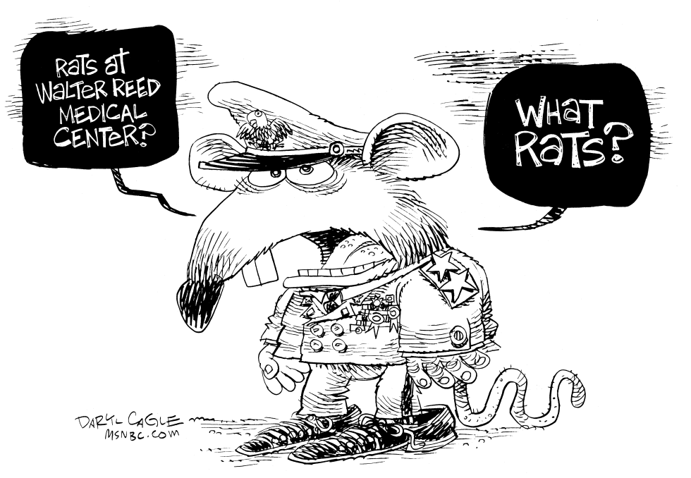  WALTER REED RAT by Daryl Cagle