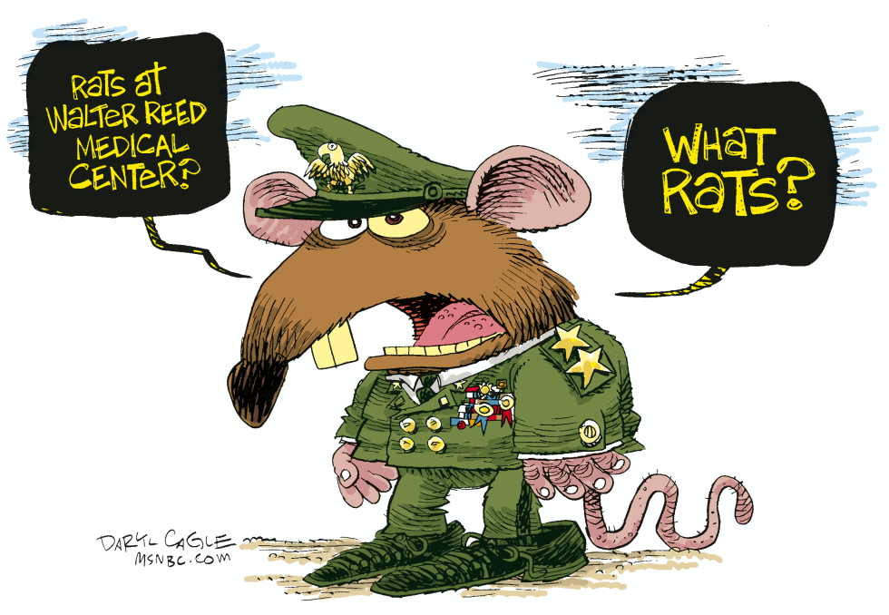  WALTER REED RAT  by Daryl Cagle