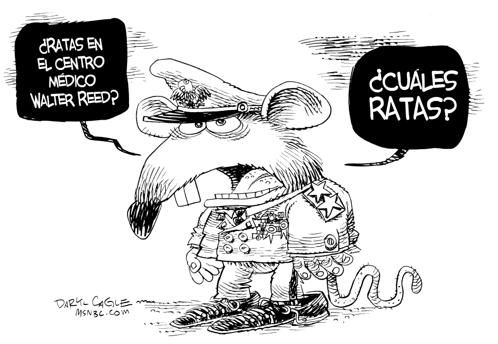  RATA DEL CENTRO MEDICO WALTER REED by Daryl Cagle