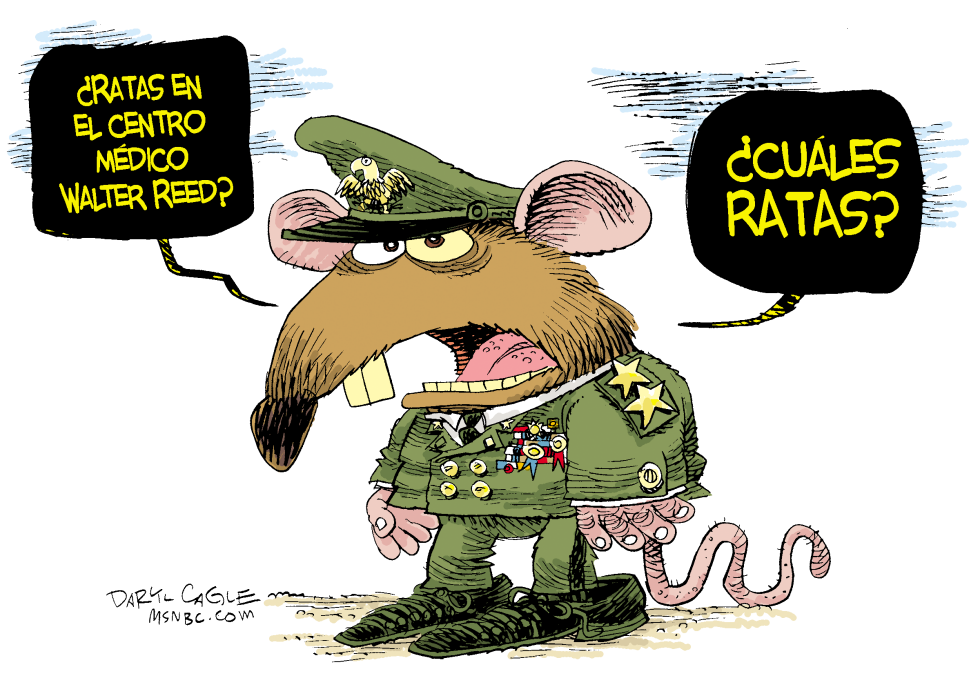  RATA DEL CENTRO MEDICO WALTER REED  by Daryl Cagle