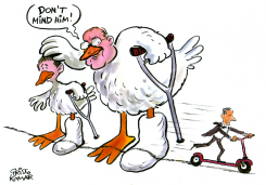 TWO LAME DUCKS IN TROUBLE - by Christo Komarnitski