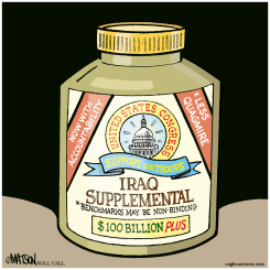 IRAQ SUPPLEMENTAL by R.J. Matson