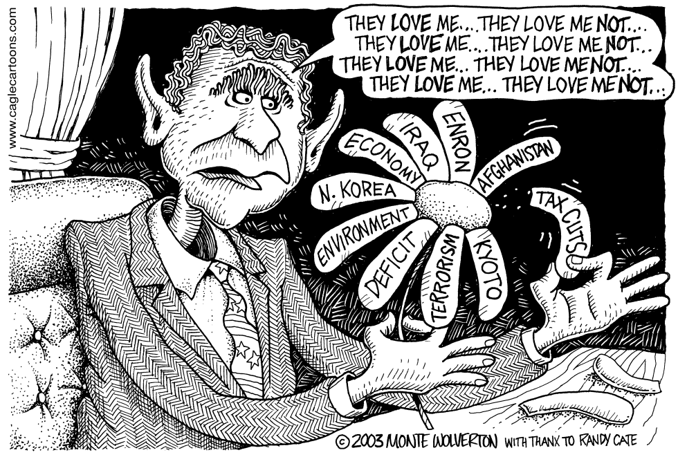 Bush public opinion