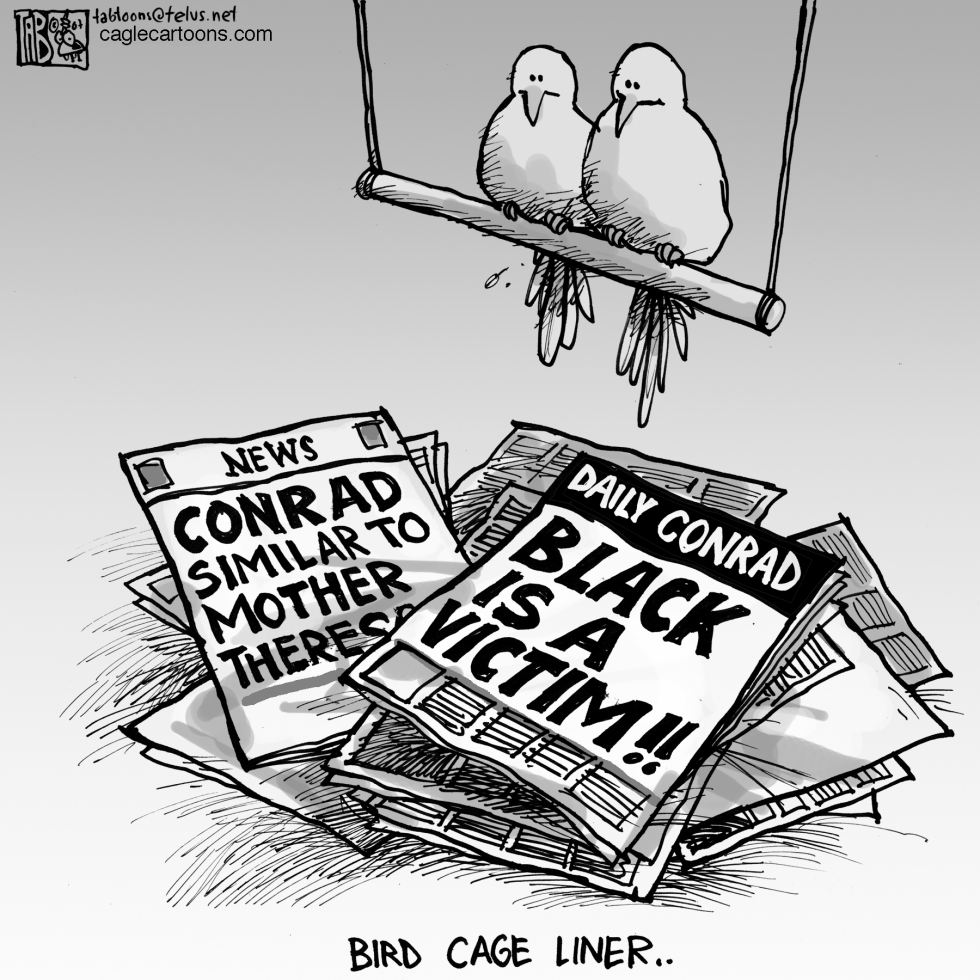 Bird Cage Cartoons