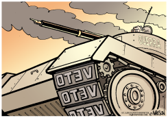 VETO PODEROSO /  by R.J. Matson