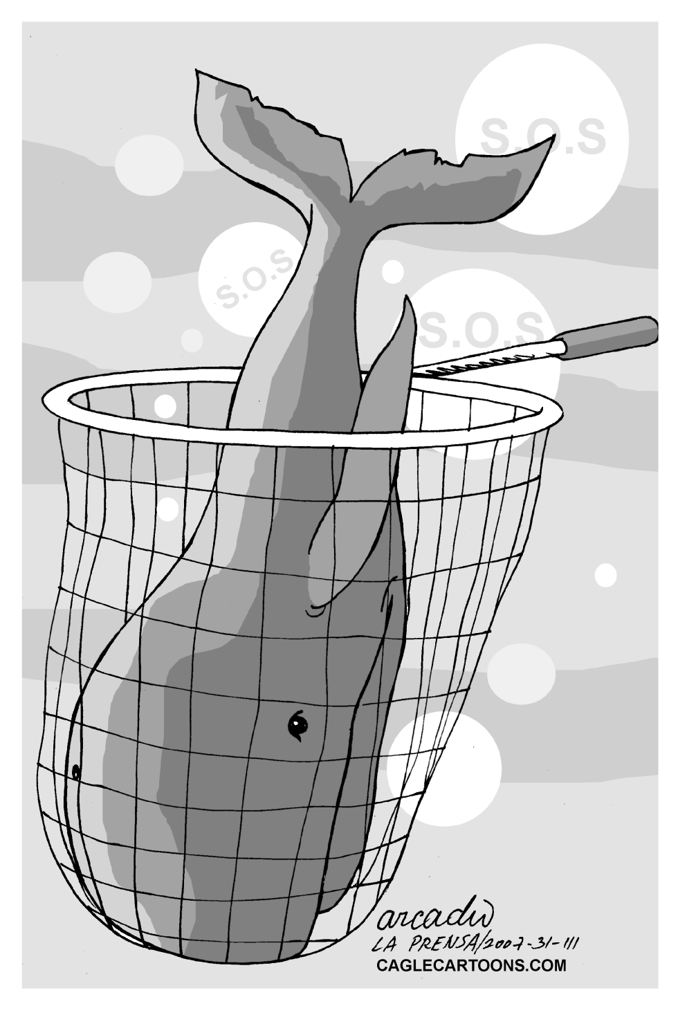 Ballenas en eterno peligro
