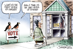 VOTER TURNOUT by Joe Heller